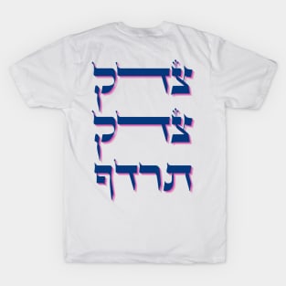 Hebrew 'Tzedek Tzedek Tirdof' - Pursue Justice Torah Quote T-Shirt